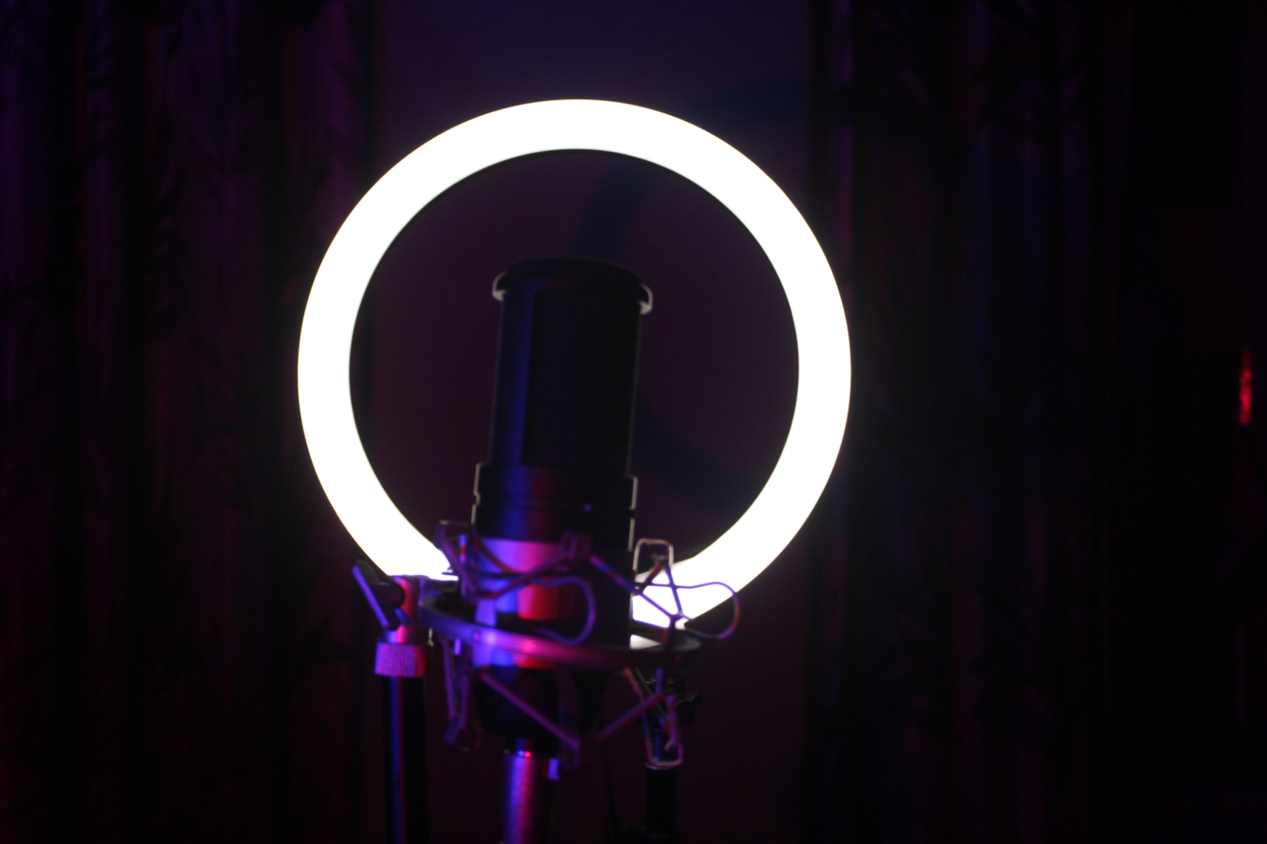 AKG P120